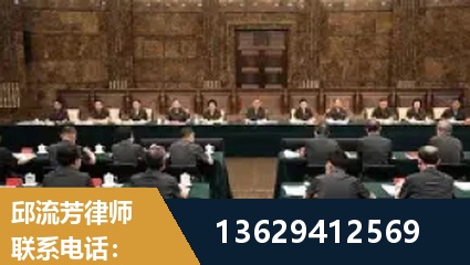 雷州-重大刑事案件处理
