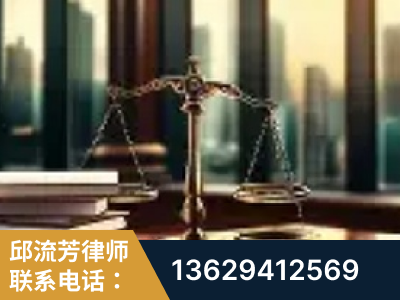 雷州-重大刑事案件处理