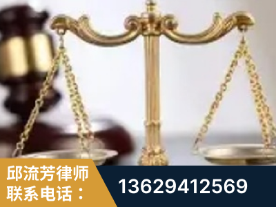 雷州-委托诉讼代理人出庭